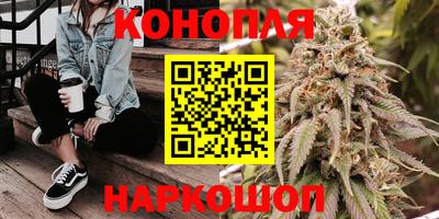 гидра Краснодар