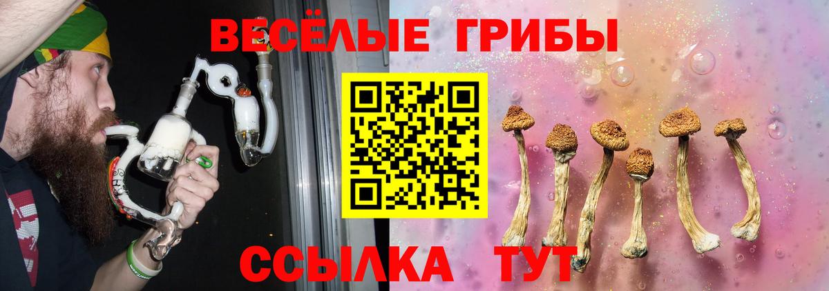 Кандалакша  Галлюциногенные грибы MAGIC MUSHROOMS  Псилоцибиновые грибы мицелий  Вход с VPN 